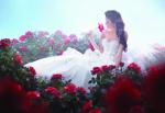 Disney BELLE_217